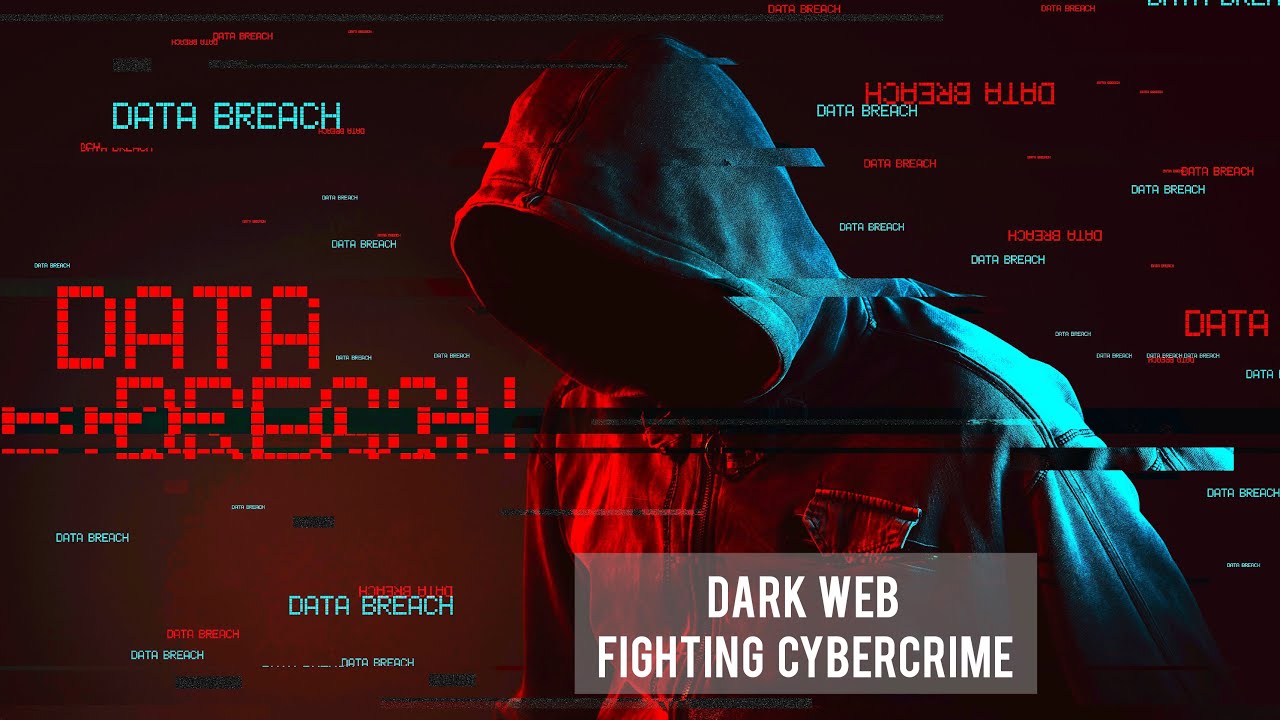Efforts for Combating Crime on the Dark Web