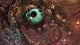 Torment: Tides of Numenera - XBOX ONE (BRAND NEW - FACTORY SEALED)